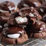 Chocolate Covered Marshmallow Cookies chocolate covered marshmallow cookies 2025 11 25 193429 150x150 1