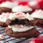 Peppermint Patty Cookies peppermint patty cookies 2025 11 25 193428 150x150 1