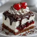 chocolate cherry lush 2026 01 20 002954 819x1024 1