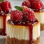 mini vanilla bean cheesecakes with raspberry sauce 2026 04 11 010840 819x1024 1