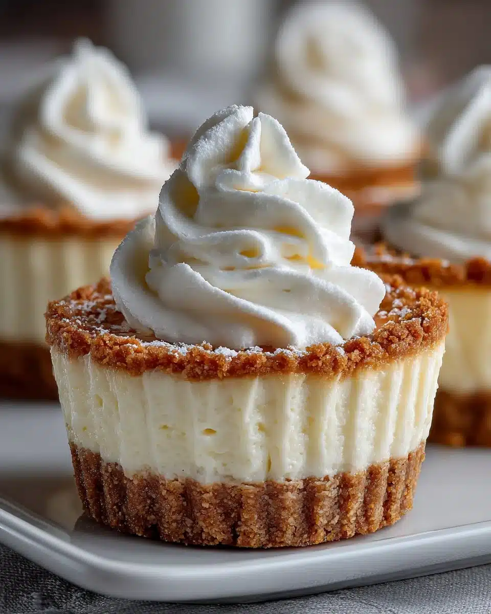 No Bake Vanilla Bean Cheesecake Cups no bake vanilla bean cheesecake cups 2026 04 12 005141