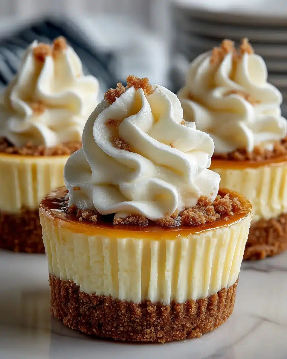 No Bake Vanilla Bean Cheesecake Cups no bake vanilla bean cheesecake cups 2026 04 12 005146 2