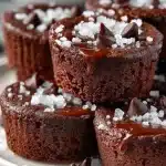 easy mini chocolate fudge brownie bites 2026 05 01 015832 683x1024 1