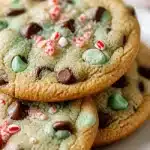 crispy thin peppermint mint chocolate chip cookie 2026 06 09 031755 683x1024 1