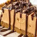frozen peanut butter chocolate ice cream pie 2026 06 10 022506 683x1024 1