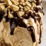 frozen peanut butter ice cream pie 2026 06 10 023654 683x1024 1