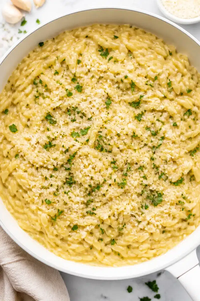One Pot Garlic Parmesan Orzo Pasta one pot garlic parmesan orzo pasta 2026 06 20 153644 2