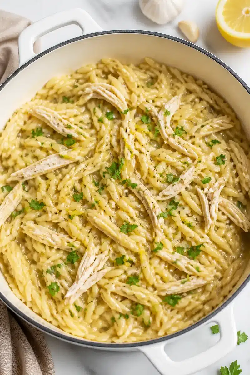 One Pot Lemon Orzo And Shredded Chicken one pot lemon orzo and shredded chicken 2026 06 28 023900 2