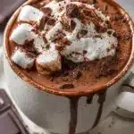thick dark chocolate hot cocoa 2026 06 15 180741 683x1024 1