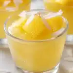 tropical pineapple coconut jello shots 2026 06 12 164114 683x1024 1