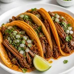 spicy crockpot shredded beef birria taco 2026 07 08 040823 683x1024 1